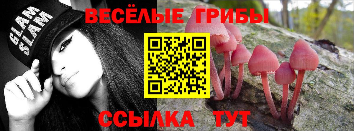 Галлюциногенные грибы Psilocybine cubensis  Псилоцибиновые грибы MAGIC MUSHROOMS  Берёзовский  Вход с VPN 
